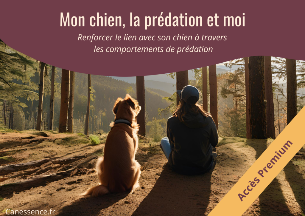 Mon chien, la prédation et moi – Accès premium