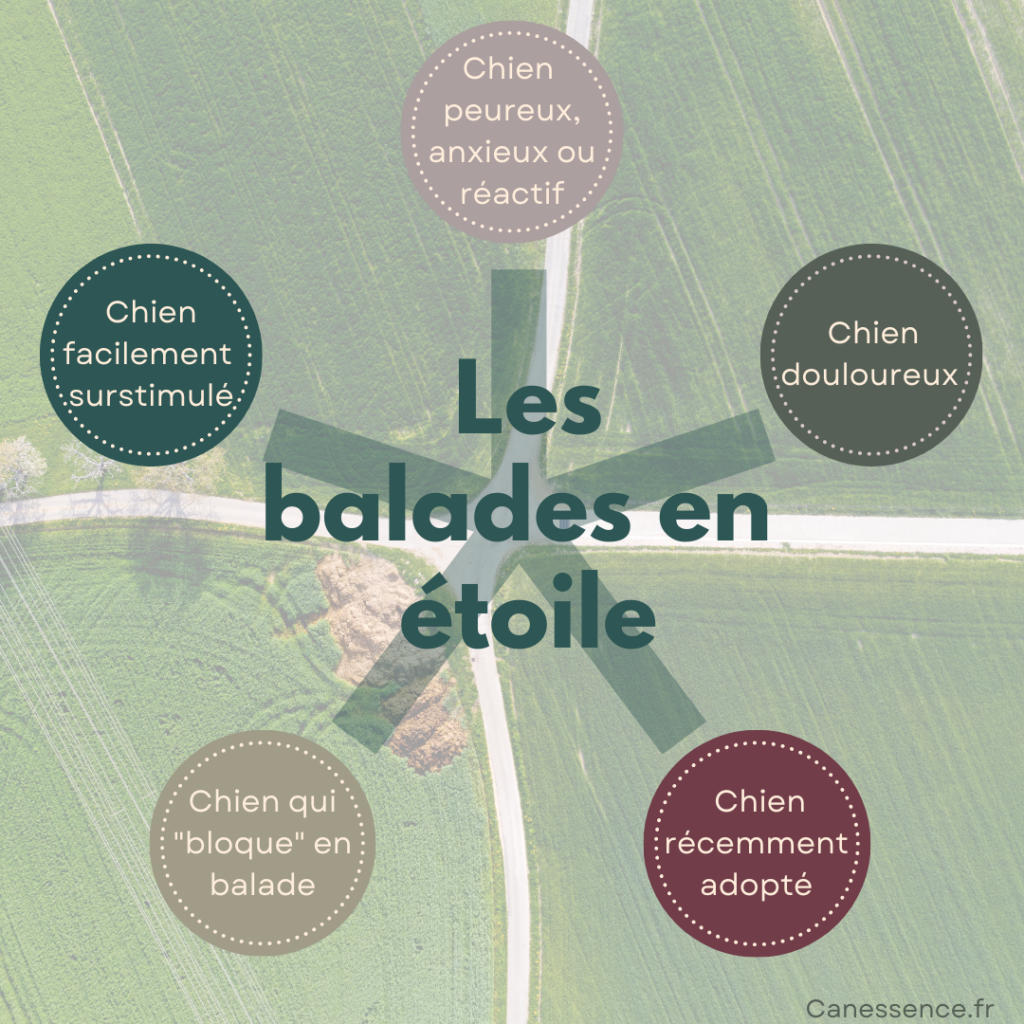 Les balades en étoile