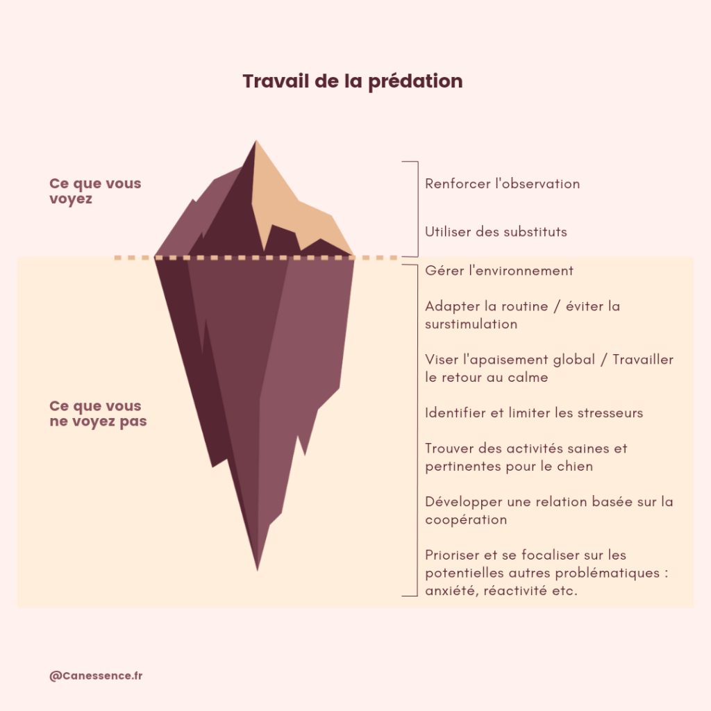 Travail de la prédation : la partie immergée de l’iceberg