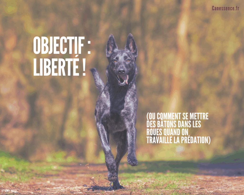Objectif : Liberté !