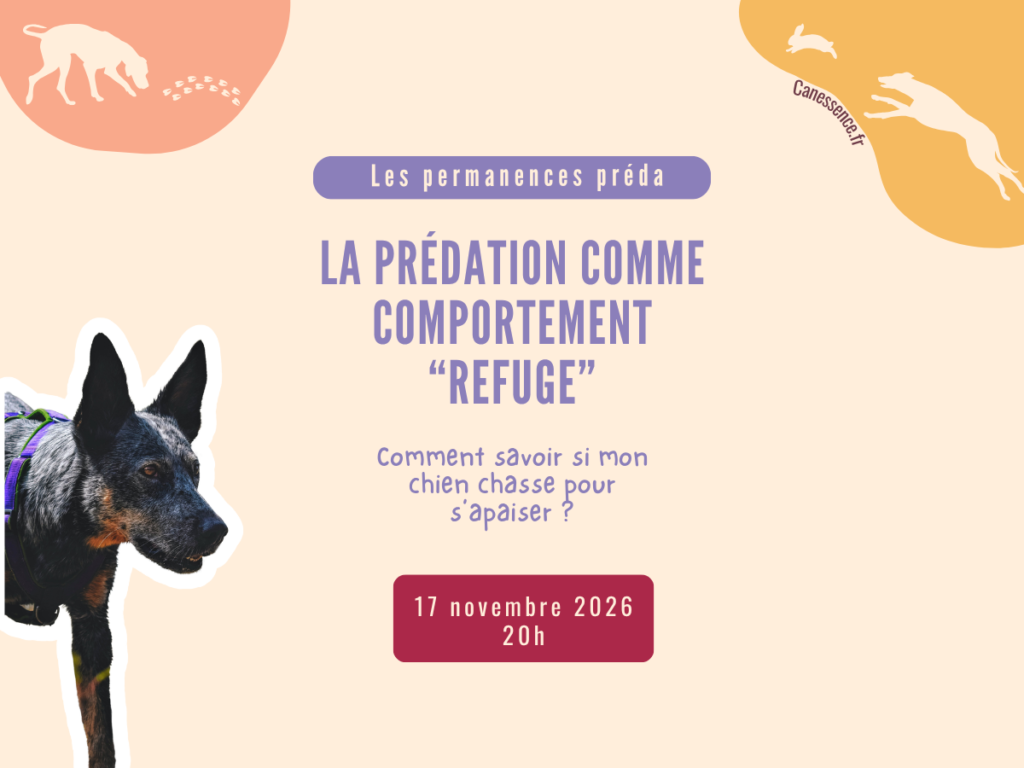 17 novembre 2026 : Permanence Préda n°1